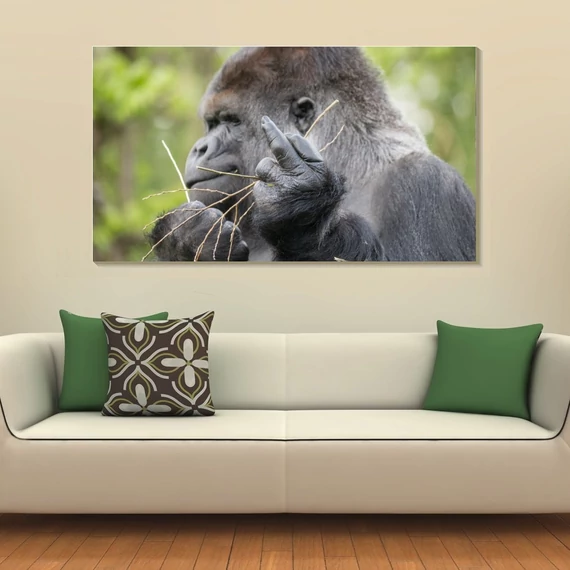Gorilla 90x50cm