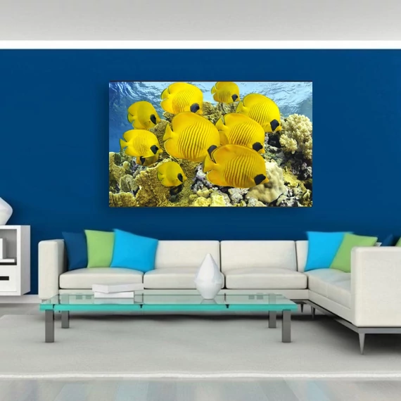 Halak 90x60cm
