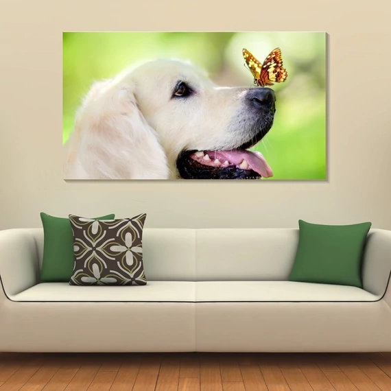 Labrador kiskutya 90x50cm