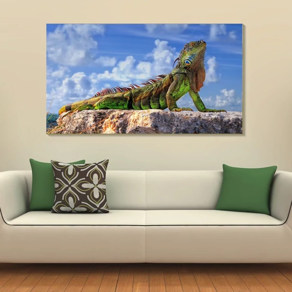 Leguán 90x50cm