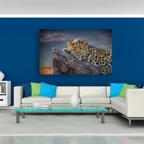 Leopárd 80x50cm