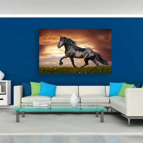 Ló 90x60cm