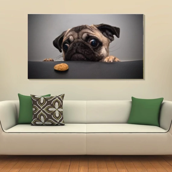 Mops 90x50cm