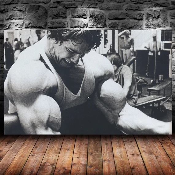 Arnold2 100x60cm