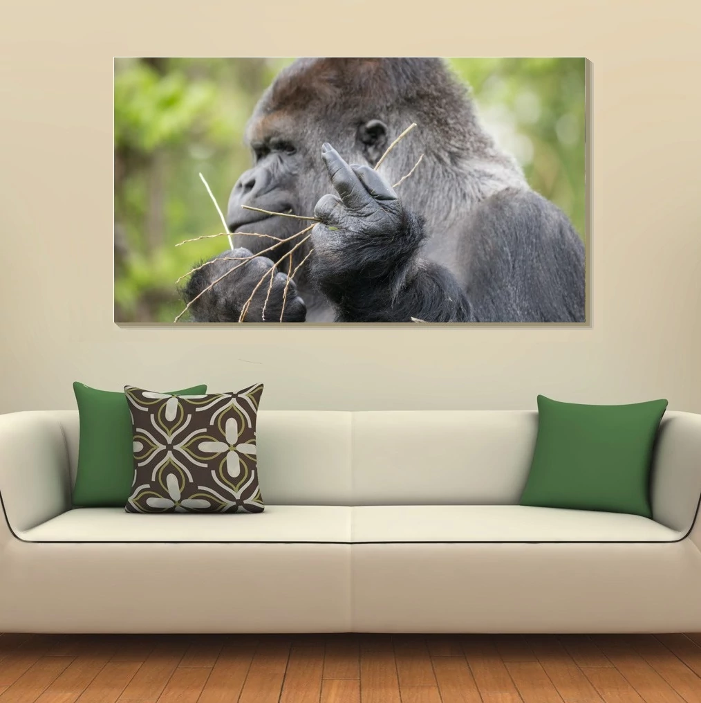 Gorilla 90x50cm