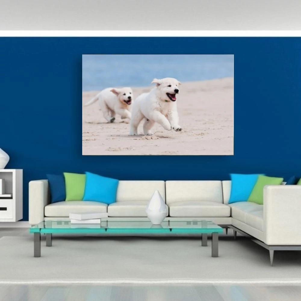 Kiskutyák 90x60cm