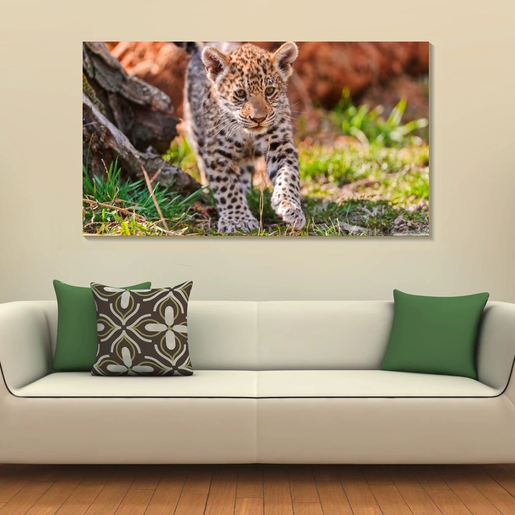 Leopárd 90x50cm