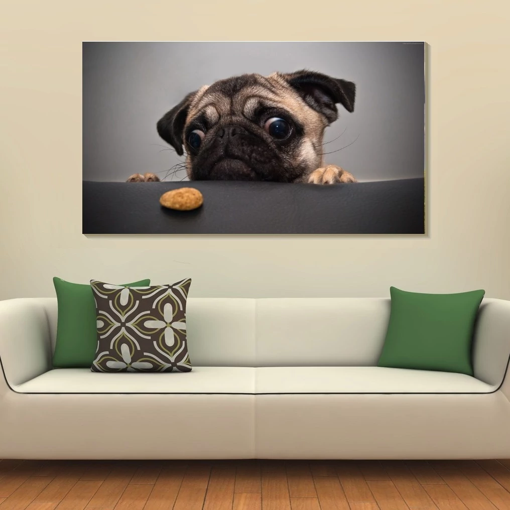Mops 90x50cm
