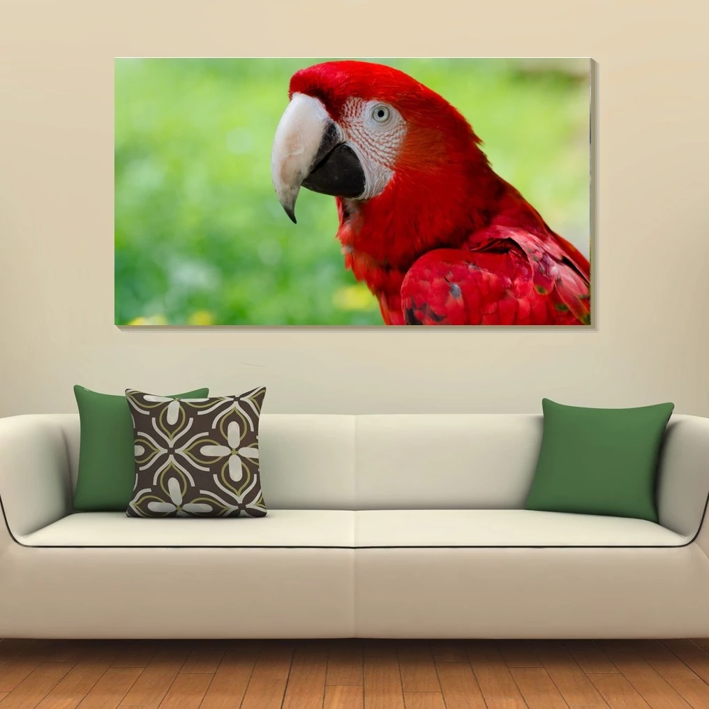 Papagáj 90x50cm